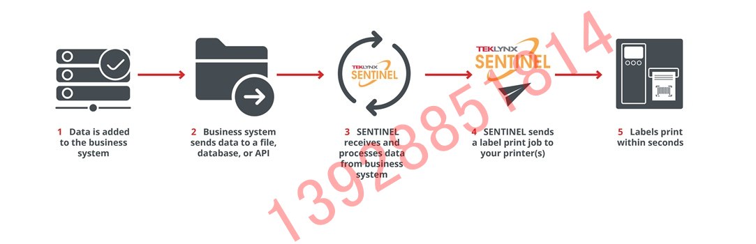 SENTINEL 打印自動(dòng)化軟件的工作原理